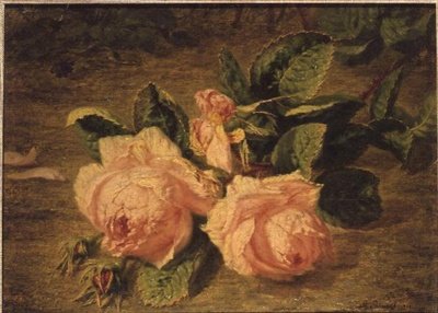 Roze rozen door Simon Saint Jean
