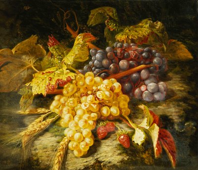 Druiven, baardtarwe en aardbeien op een rotsachtige richel, 1849 door Simon Saint Jean