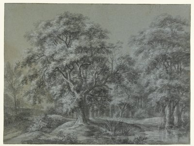 Boslandschap met een water door Simon de Vlieger
