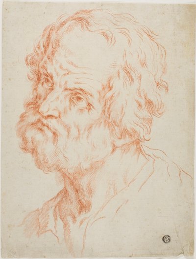 Mannelijk hoofd door Simone Cantarini