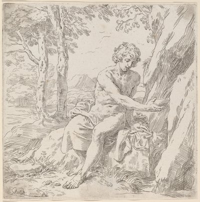 Sint Johannes de Doper in de Woestijn door Simone Cantarini