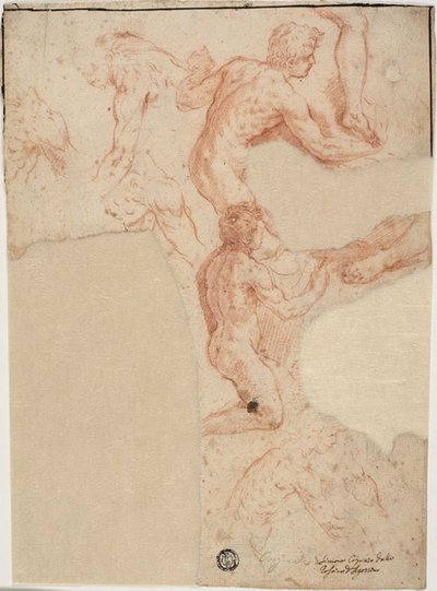 Schetsen van Mannelijke Naakten, Benen (recto); Schetsen van Mannelijke Naakten (verso) door Simone Cantarini