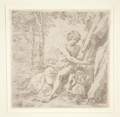 Sint Johannes de Doper in de woestijn door Simone Cantarini