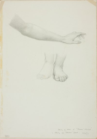 Arm en Voeten, studie voor Spiegel van Venus door Sir Edward Burne Jones