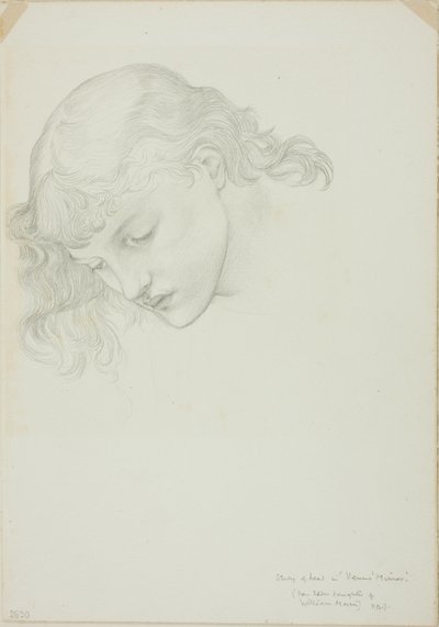 Hoofd, studie voor Spiegel van Venus door Sir Edward Burne Jones