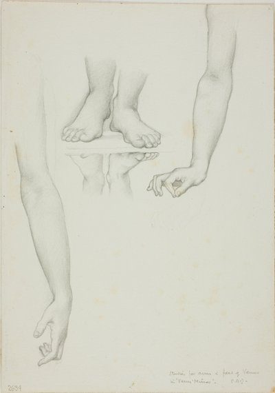 Studie voor Spiegel van Venus: Armen en voeten van Venus door Sir Edward Burne Jones
