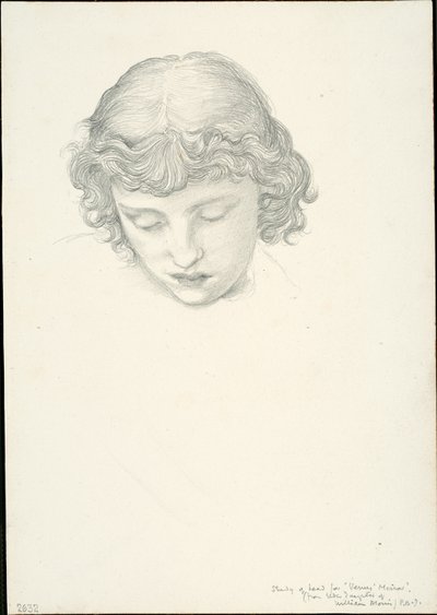 Studie voor Spiegel van Venus: Hoofd door Sir Edward Burne Jones