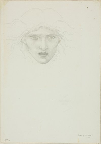 Studie voor Rondanini Medusa door Sir Edward Burne Jones