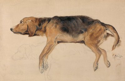 Studie van een liggende hond door Sir Edwin Henry Landseer