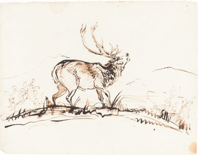 Een brullend hert door Sir Edwin Landseer