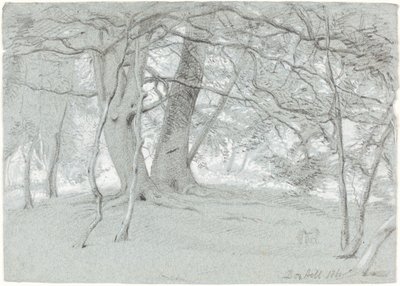Bomen bij Box Hill door Sir William Blake Richmond
