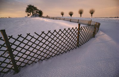 Een Vikinggraf in de sneeuw bij Elverhoej, Denemarken in de wintersneeuw, 2022 (foto) door Sisse Brimberg