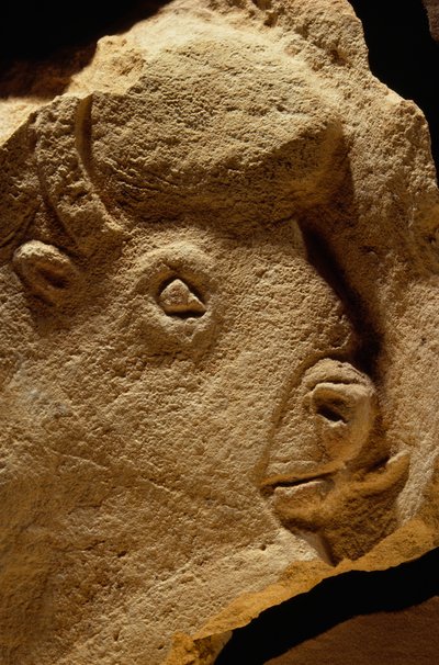 Bas-reliëf sculptuur van een bizon, kalksteen is zestienduizend jaar oud. door Sisse Brimberg