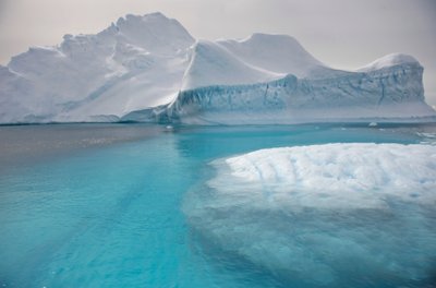 IJsbergen drijvend op het Antarctisch Schiereiland, 2022 door Sisse Brimberg