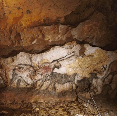 De Mythische Eenhoorn van Lascaux geschilderd meer dan 17.000 jaar geleden langs het witte calciet... door Sisse Brimberg