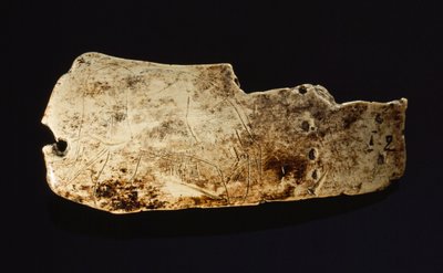 Het beeld van een mammoet is uitgehouwen op een prehistorische mammoetivoor door Sisse Brimberg