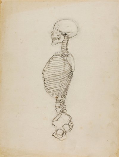 Anatomie door Solon H. Borglum
