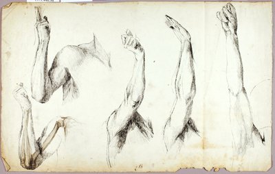 Arm Onderzoeken, #2 door Solon H. Borglum