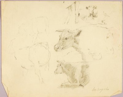 Cows door Solon H. Borglum