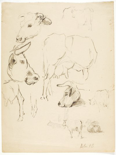 Cows door Solon H. Borglum