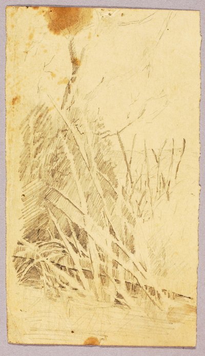 Loof door Solon H. Borglum