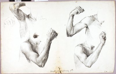 Vier Arm Studies, #1 door Solon H. Borglum