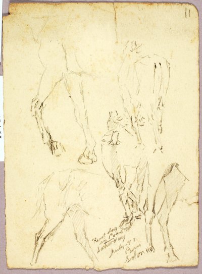 Paarden door Solon H. Borglum