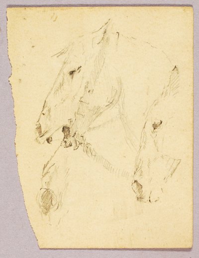 Paardenkoppen door Solon H. Borglum