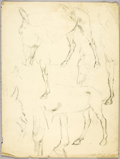 Portretstudie, Paardenstudie door Solon H. Borglum