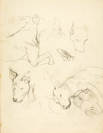 Slapende honden door Solon H. Borglum