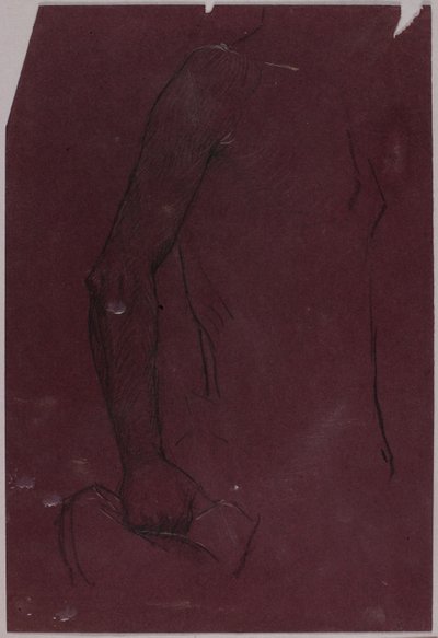 Torso, studie voor ruitermonument door Solon H. Borglum