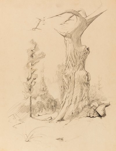 Zonder titel door Solon H. Borglum
