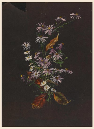 Herfstboeket, ca. 1890 door Sophia L. Crownfield