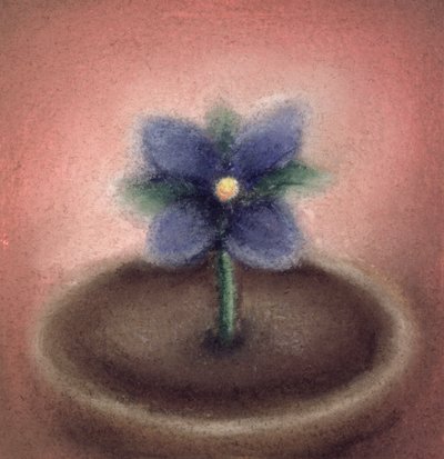 Kleine bloem door Sophie Hacker