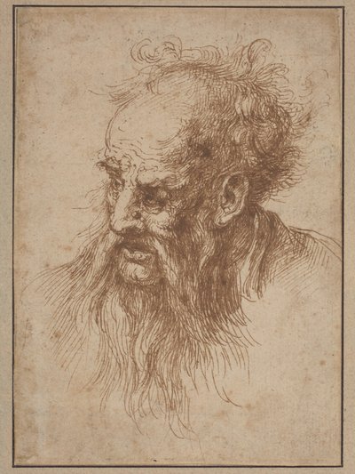 Een oudere man met een vloeiende baard door Spanish 17th Century