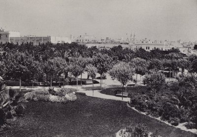 Cadiz: Parque Genoves (zw/w foto) door Spanish Photographer