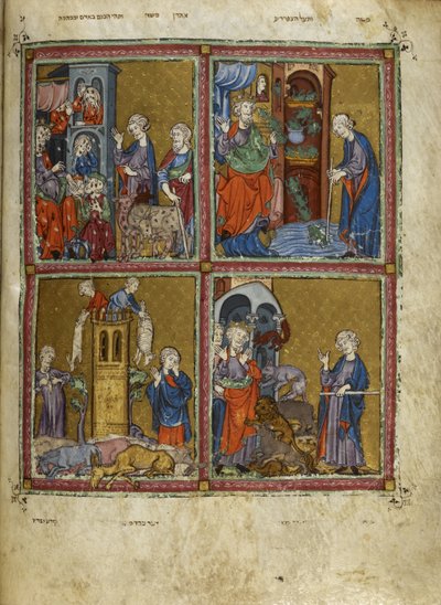 Scènes uit Exodus: De plagen van luizen, kikkers, veeziekte en pestilentie, illustraties uit 