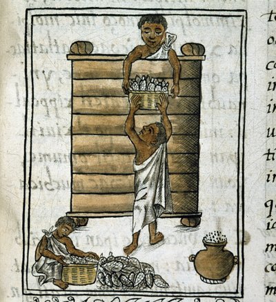 Codex van de verovering van Mexico: Maïsoogst door Spanish School