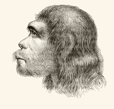Hoofd van een Neanderthaler, uit 