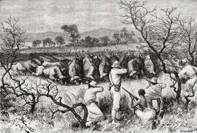 Buffeljacht in Centraal-Afrika in de late 19e eeuw, uit 