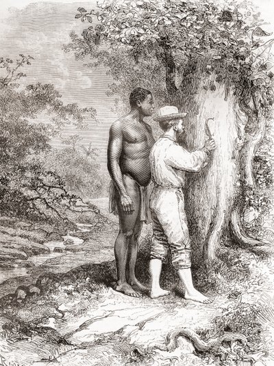 Jules Crevaux, tijdens zijn verkenning van Frans-Guyana in 1878, zijn initialen kerend in een boom aan de oevers van de Oyapock of Oiapoque rivier door Spanish School