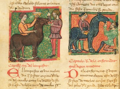 Genezing van glossitis bij een paard, uit Libro de Menescalcia y Albeyteria door Juan Alvarez, c.1390 door Spanish School