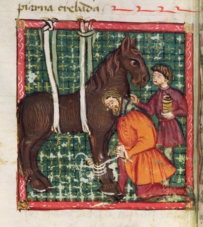Ms 214 fol.31v Het herstellen van het gebroken middenhandsbeentje van een paard, uit Libro de Menescalcia y Albeyteria door Juan Alvarez, ca. 1390 door Spanish School