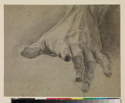 Studie van een linkerhand, 18e eeuw door Spanish School