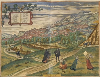 Uitzicht op Granada door Spanish School