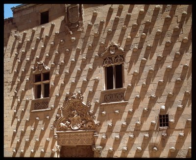 Uitzicht op gotische gevel (1493-1517) door Spanish School