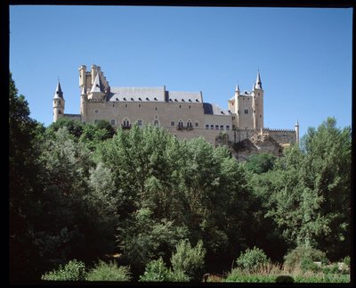 Uitzicht op het alcazar door Spanish School
