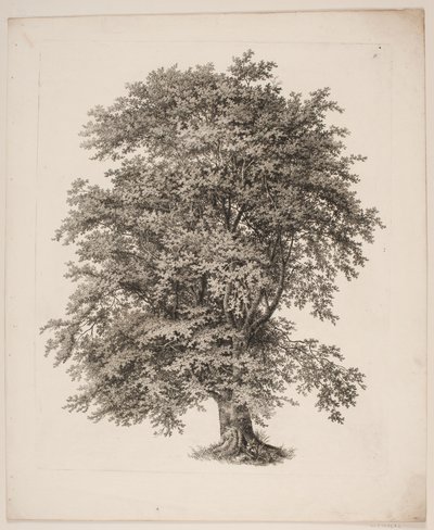 "Studies naar de Natuur met Betrekking tot Landschapstekening van S.H. Petersen", nr. 2 door Søren Henrik Petersen