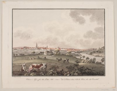 Odense op Funen, vanaf de oostkant door Søren L. Lange