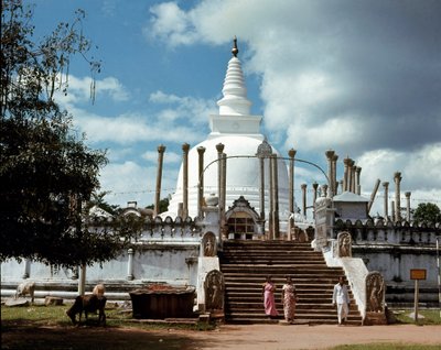 Uitzicht op Thuparamaya dagoba door Sri Lankan School